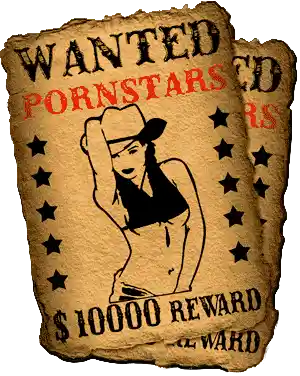 pornstars wanted